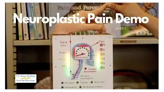Neuroplastic Pain Demo