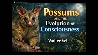 Possums and the Evolution of Consciousness