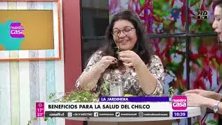 El chilco y sus propiedades. Matinal Nuestra Casa Canal 9 TV