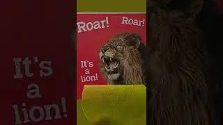 Baby's First Wild Animals | #ImagineThatPublishing #storytelling #kidsbooks #kids #readingaloud