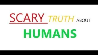 The Pathetic Truth About Humans - Perspective On Human Interaction