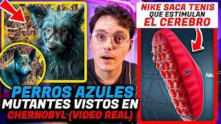 Mutant Blue Dogs Spotted in Chernobyl (Real Video) - Nike Releases Brain-Stimulating Sneakers