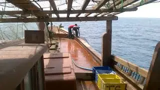 Saudi fishing work