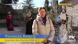 Newsline 29/12/2025