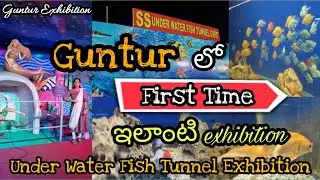 గుంటూరు లో మొదటిసారి Underwater Fish Tunnel Exhibition |First Tunnel Aquarium in Guntur, Naaz Center