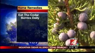 Cedar Fever Home Remedies: Do they work?