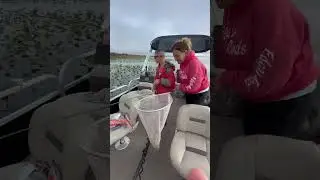 Lawson went Croppie fishing