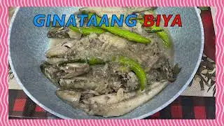 GINATAANG BIYA   4K