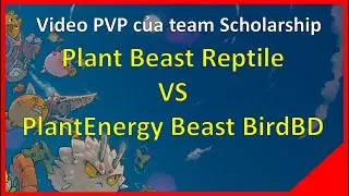 PVP Team Scholarship - Plant Beast Reptile VS Plant Beast BirdBackdoor  | meGame Blockchain