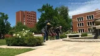 Zangalewa Comp 1