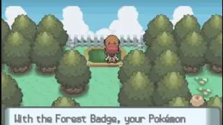 Pokemon Diamond and Pearl Walkthrough Part 8 Eterna City and Galactic Building