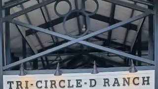 Ride a Disney Pony  at Tri-Circle-D Ranch at Fort Wilderness  2023