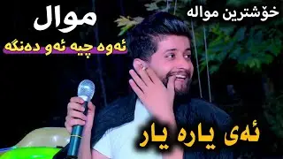 Hama Zirak~Xoshtrin Mwal~Danishtni Qahara Swr~Tarck~5