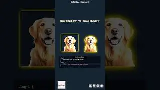 🥵🔥 Box Shadow VS Drop Shadow in CSS || Solve It Smart