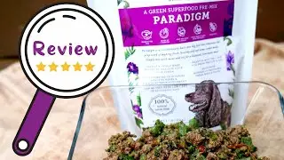 Dr. Harvey&rsquo;s Paradigm Superfood Pre-Mix Blend Review | Best Dog Food Mixes
