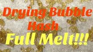How to dry bubble hash - full melt bubble hash - drying full melt