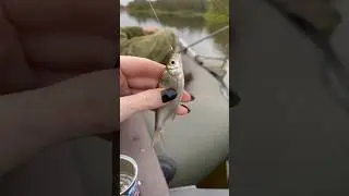 Отпускаем малыша🐟 #риба #рыба #рибалка #рыбак #рыбалка #риболов #fish #fishing #природа