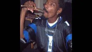 (FREE) Snoop Dogg x G Funk Type Beat - 