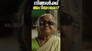 നിങ്ങൾക്ക് അറിയാമോ? Hidden Detail In Nanpakal Nerathu Mayakkam Movie #lijojosepellissery #mammootty