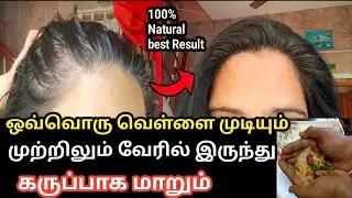 இதுவரை சொல்லாத புதிய முறையில் வெள்ளை முடியை கருமையாக்கலாம் /Chellakutty Home