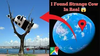 I Found Strange Cow In Real 😱 On Google Earth Old Maps 🌍#googleearth #googlemaps #viralvideo 