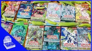 24x Zuf&auml;llige Yu-Gi-Oh! Packs #146  - Opening