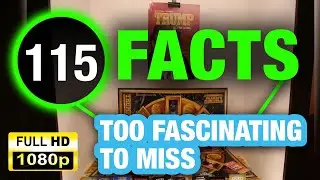 115 Wacky and Wild Facts That Are 100% True!