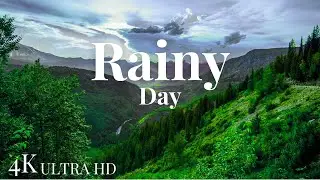 Fall Asleep with Calming Rain Sounds | The Rain Realm☔