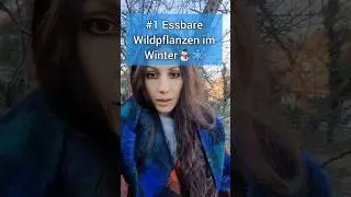 #1: Essbare Wildpflanzen im Winter☃️❄️🌿 #wildkr&auml;uter #essbarewildpflanzen #naturwissen #vogelmiere