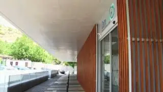 NEUROSCIENCES