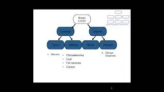 Concept Maps: Approach to 