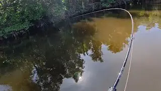 Trip casting fishing / Sabah bintuka