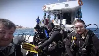 Top Scuba Diving in Marsa Alam 🐢 Red Sea, Egypt