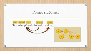 Významové poměry mezi větnými členy