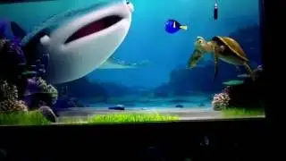 Turtle Talk With Crush Now Including Dory And Friends @ Epcot