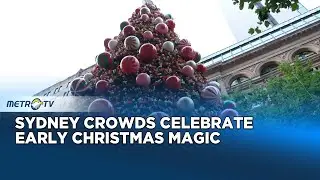 Sydney Launches Festive Season With Spectacular Christmas Tree Lighting
