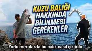 SHORE JIGGING | What You Need to Know About Amberjack | Common Mistakes | About Amberjack
