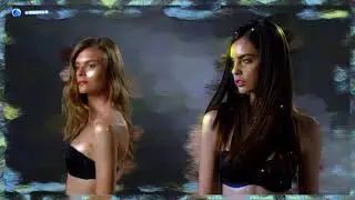 The look ! &copy; 2025  &copy;   World Music Disco Conveyor I  &reg; 2025  &copy; WMDC N1 &reg;