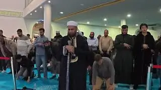 صلاة العشاء مع أ.د. عبد السلام المجيدي وصلاة القيام مع د. شيرزاد طاهر/  المسابقة الألمانية الكبرى 