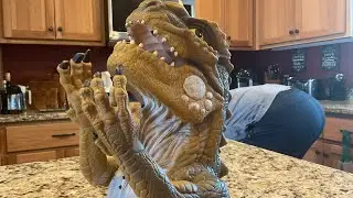 I got a resaurus puppet and I do not regret it
