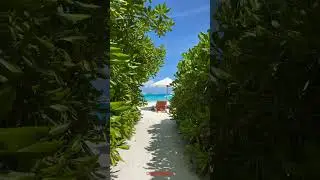 Serene beach escape | Tropical paradise getaway ☘️🌴✨ #travel #viral #nature