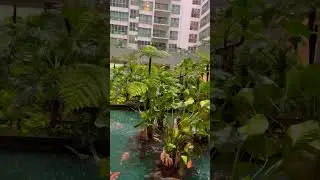 Kuala lumpur hotel lobby #malaysia#youtubeshorts#travel#shortsviral#shorts#nature#india#viral