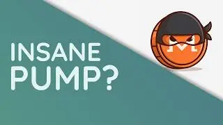 The Real Reason why Monero (XMR) Pumped to $800