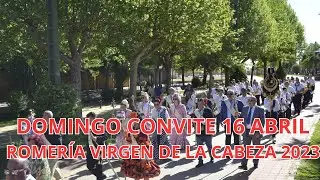 AMC Maestro Flores Domingo de Convite 16 abril 2023 · Marmolejo