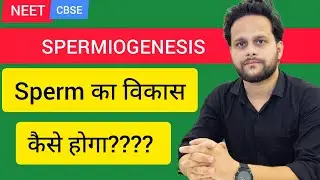 Spermiogenesis PYQs | NEET & Class 12 Human Reproduction | Daniyal Sir #cbse #spermatogenesis #neet