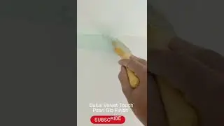 Dulux Velvet Touch Pearl Glo Finish #shorts #shortvideo #youtubeshorts #youtube