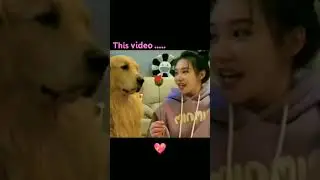 dog heart melting smile#heart touching#animal