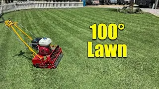 Summer Lawn Treatment for Healthy Soil and Grass
