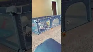 Msvaughntv