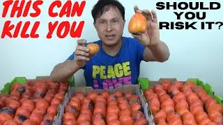 It's True. Persimmons Can Kill You. Should You Risk Eating Them?